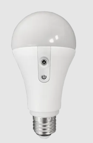 FP5-Individual E26 NYX Bulb